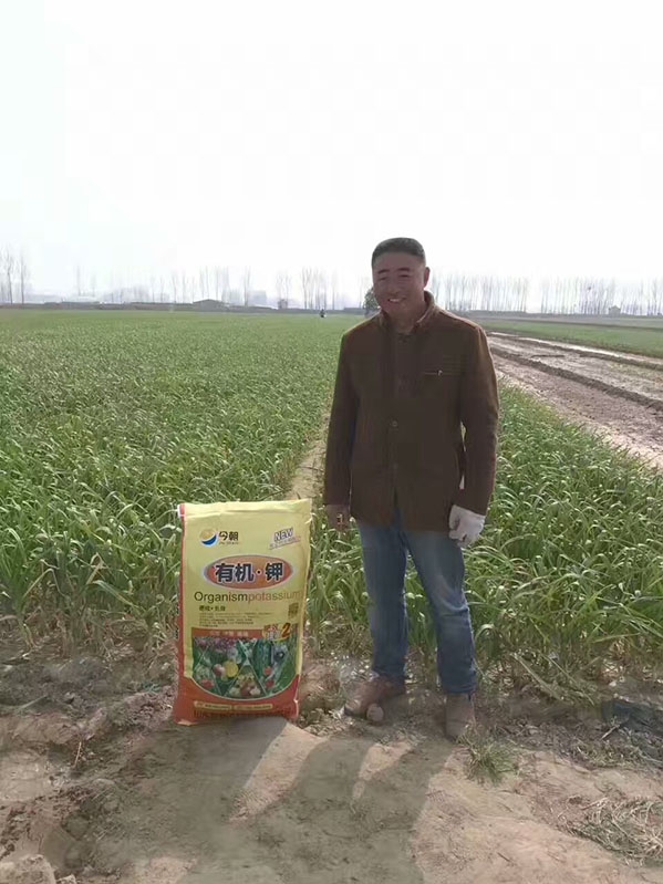 案例名称