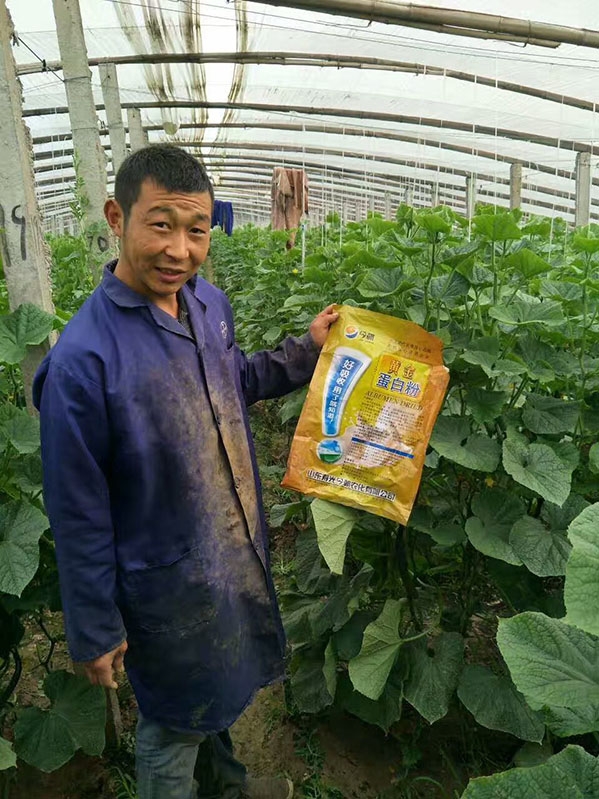 案例名称