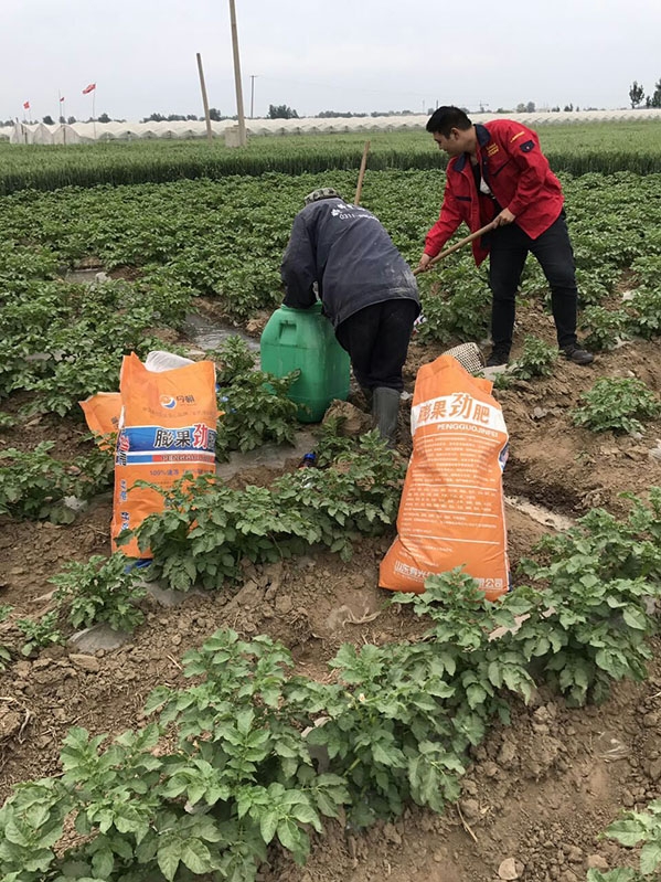 案例名称