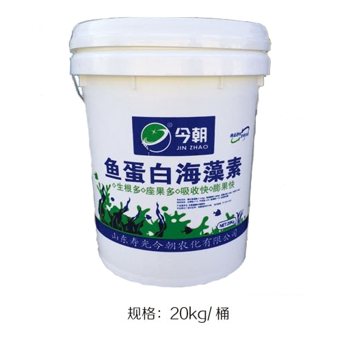 鱼蛋白海藻素