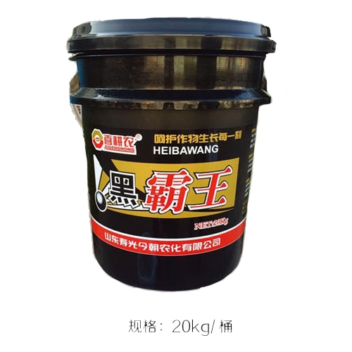 黑霸王