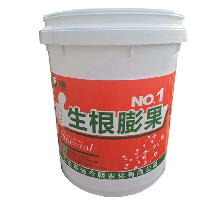 生根膨果NO.1