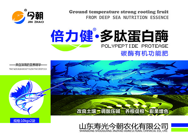 倍力健塑框标签.jpg